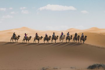 A vertical shot of people riding camels on a sand dune in the desert